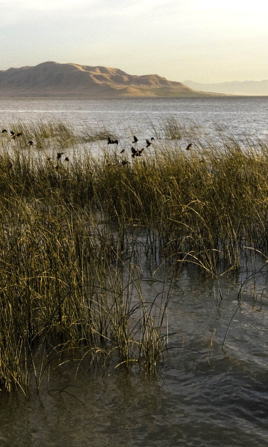 Central Bank Utah - Utah County Community Bank